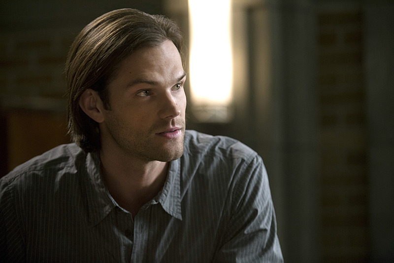 Фото - : 800x533 / 109 Кб