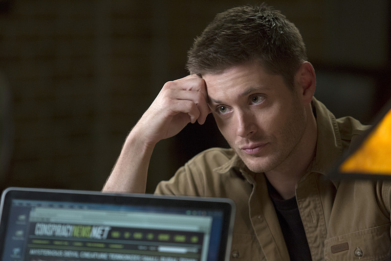 Фото - : 800x533 / 115 Кб