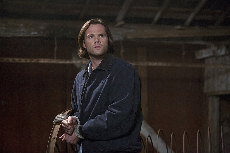 Фото - : 800x533 / 127 Кб