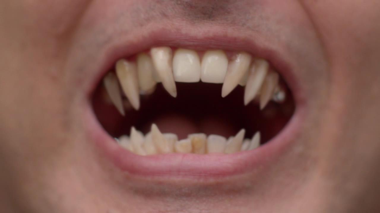 Фото - : 1280x718 / 54 Кб