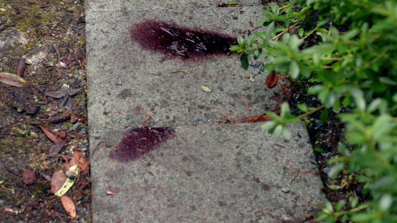 Фото - : 1280x718 / 146 Кб