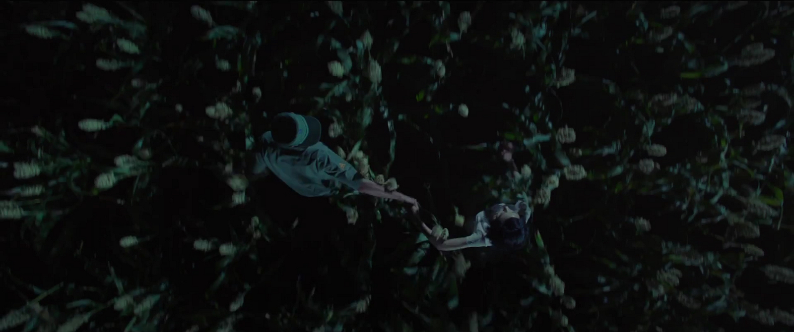 Фото - : 1600x670 / 528 Кб