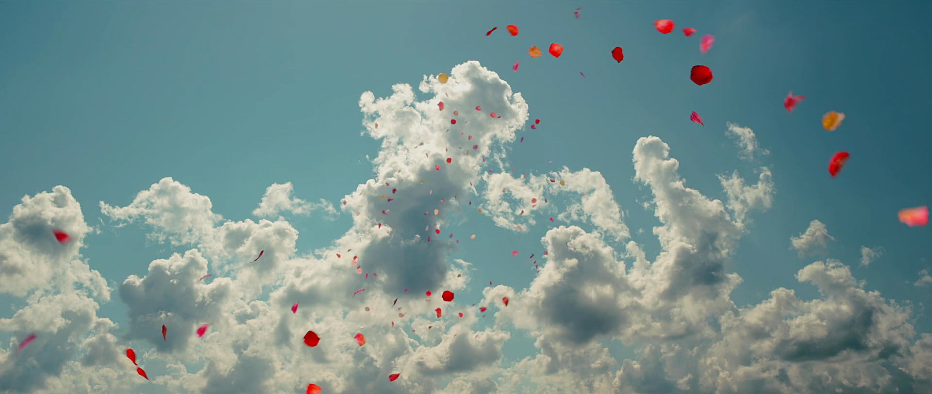 Фото - Он — дракон: 1920x812 / 200 Кб