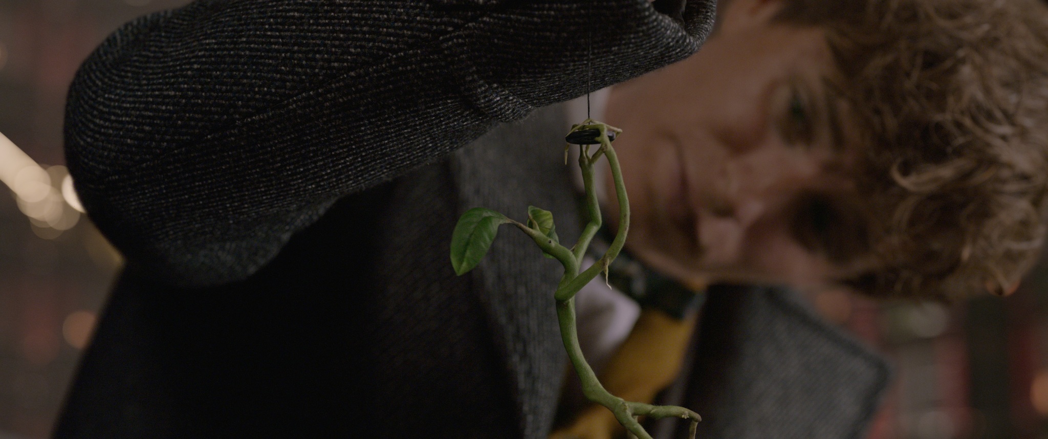 Фото - Фантастические твари: Преступления Грин-де-Вальда: 2048x858 / 387 Кб