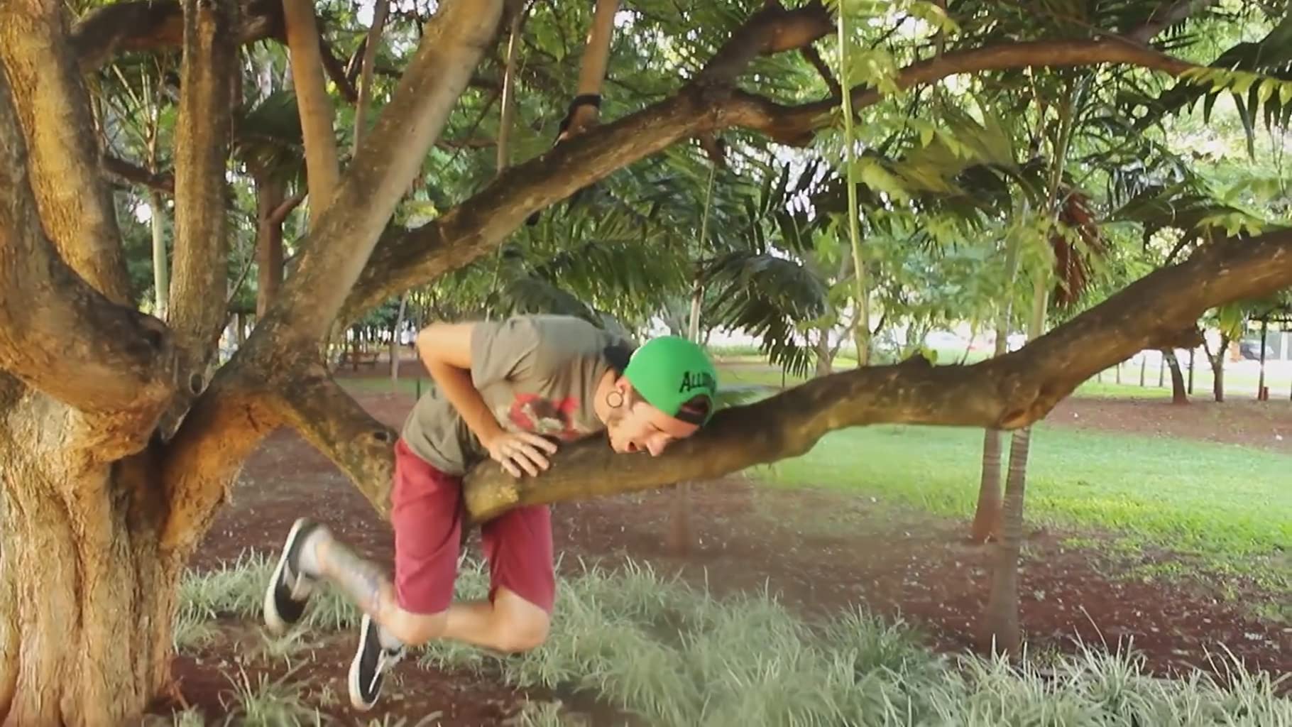 Фото - : 1820x1024 / 201 Кб