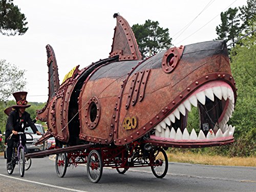 Фото - : 500x375 / 62 Кб