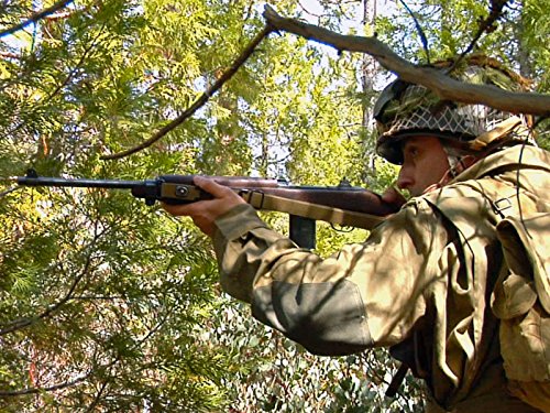 Фото - : 500x375 / 94 Кб