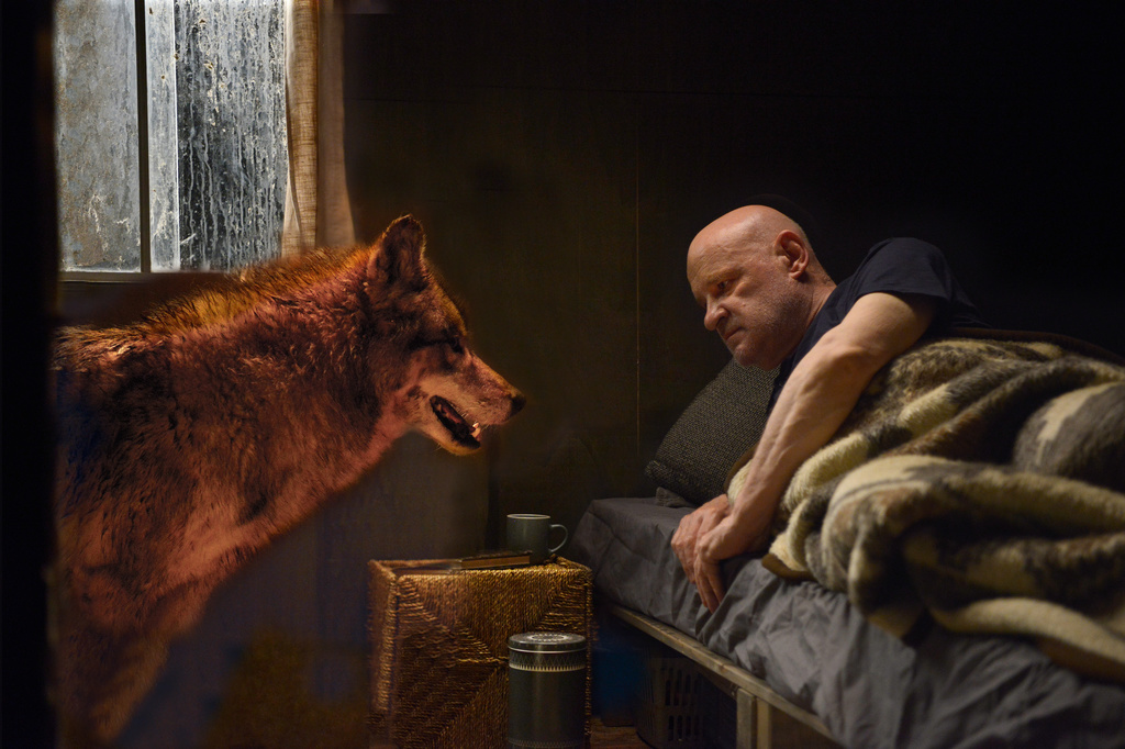 Фото - : 1024x682 / 271 Кб