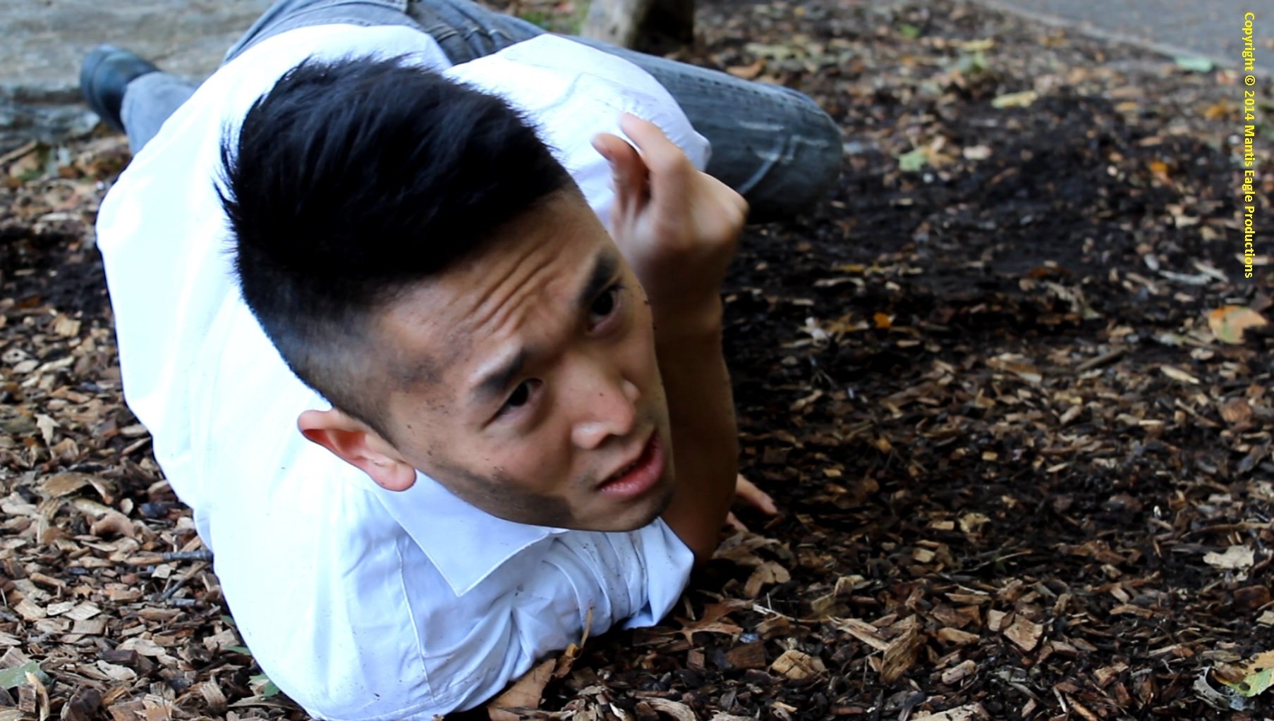 Фото - : 1806x1023 / 272 Кб