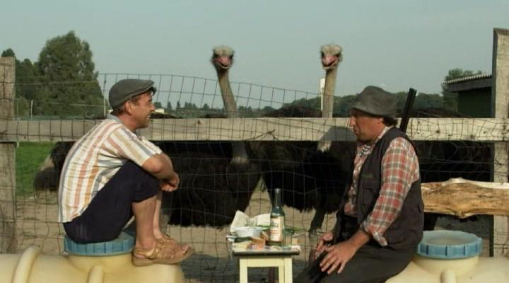 Фото - : 720x400 / 36 Кб