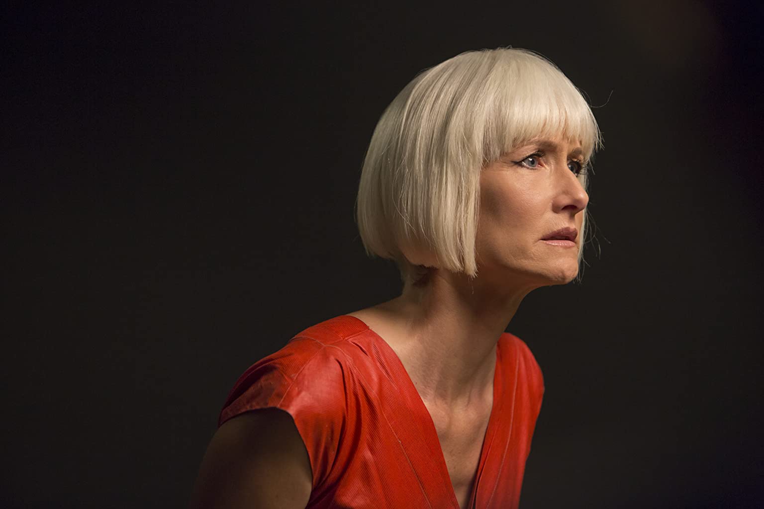 Фото - : 1536x1024 / 64 Кб