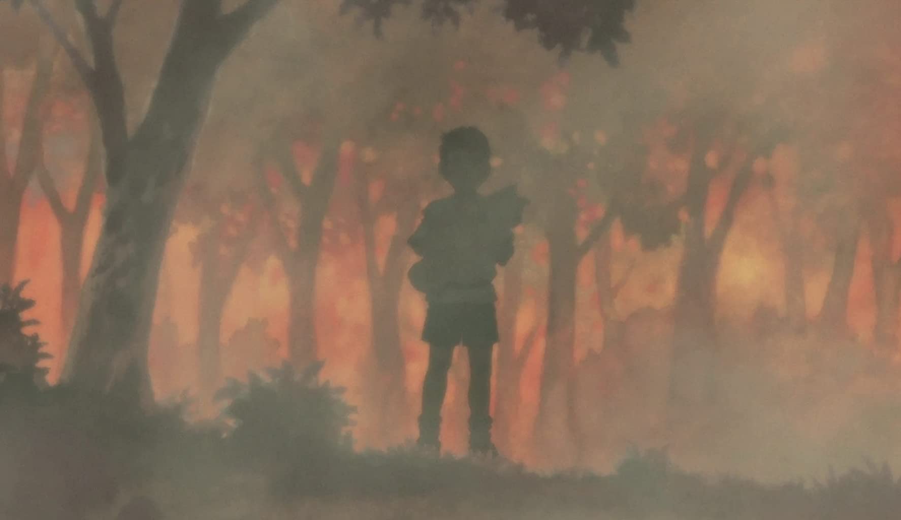 Фото - : 1774x1024 / 48 Кб