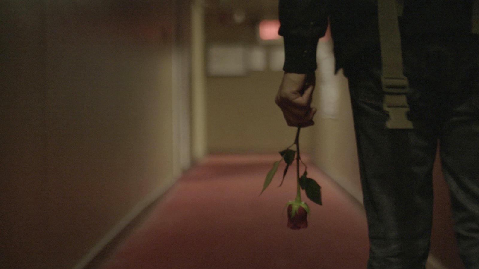 Фото - : 1600x900 / 161 Кб