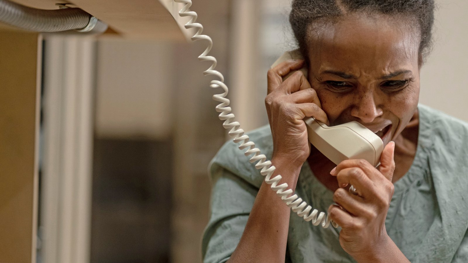 Фото - : 1600x900 / 161 Кб