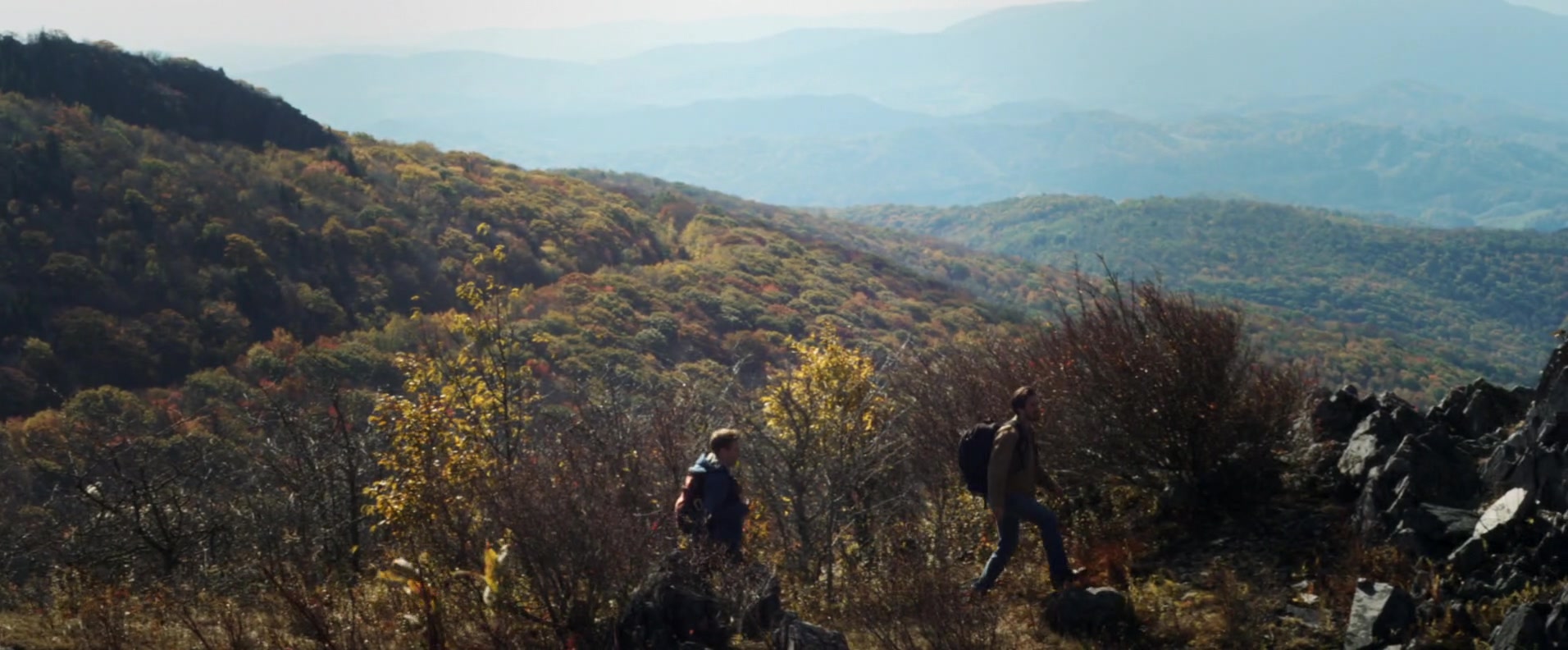 Фото - : 1912x792 / 211 Кб