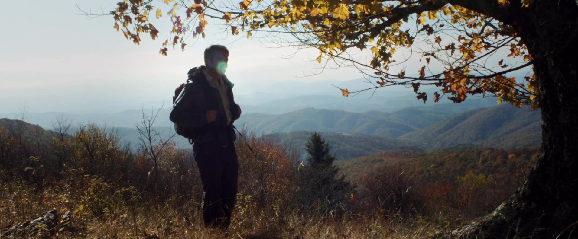 Фото - : 1912x792 / 245 Кб