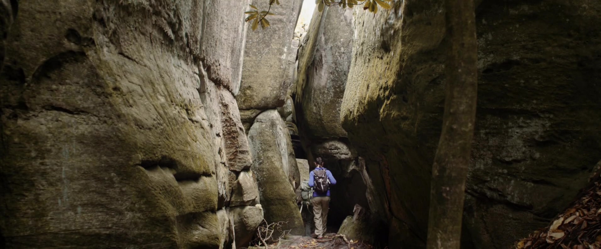 Фото - : 1912x792 / 224 Кб