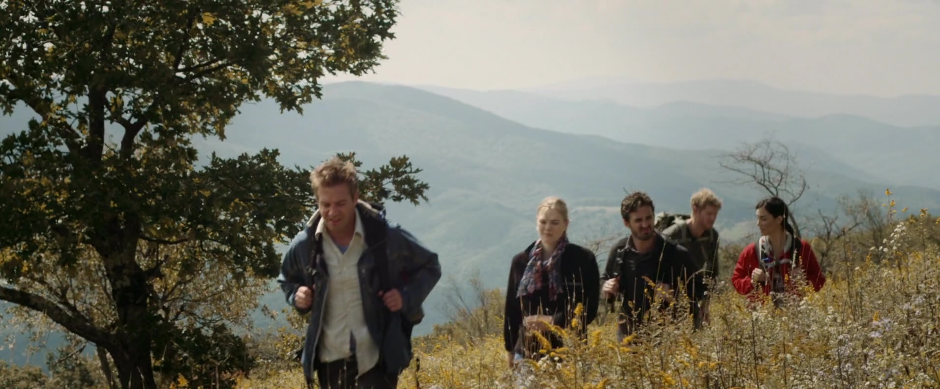 Фото - : 1912x792 / 222 Кб