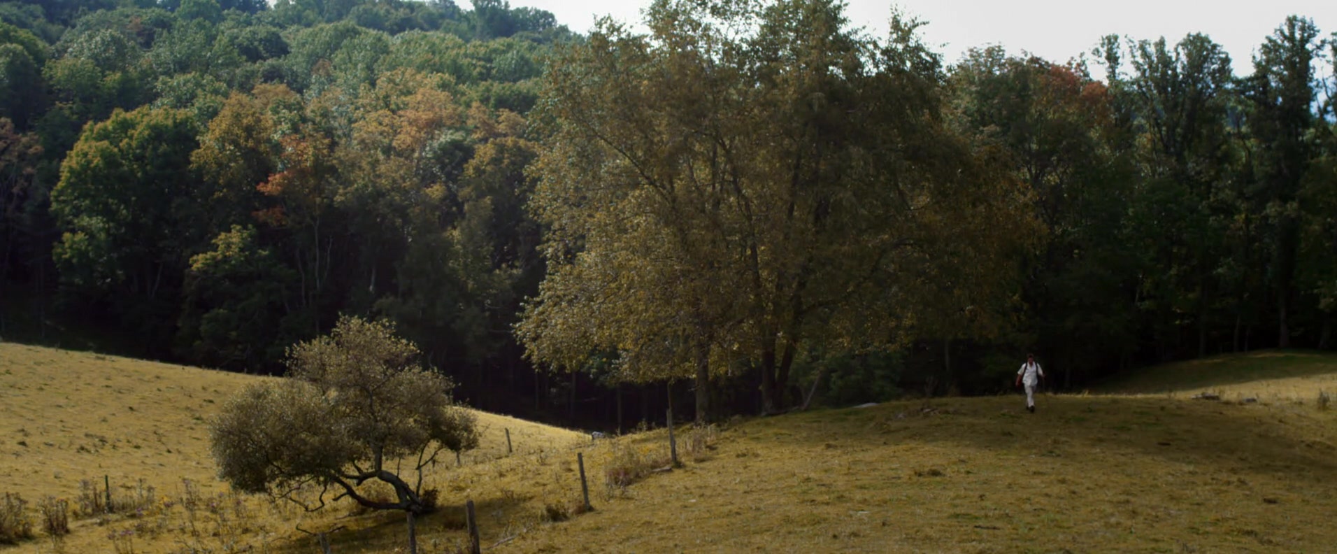 Фото - : 1912x792 / 272 Кб