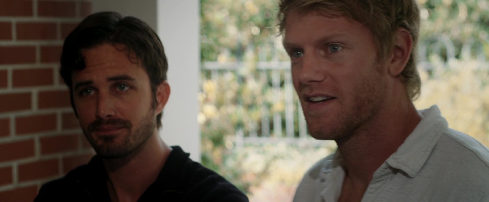 Фото - : 1912x792 / 95 Кб