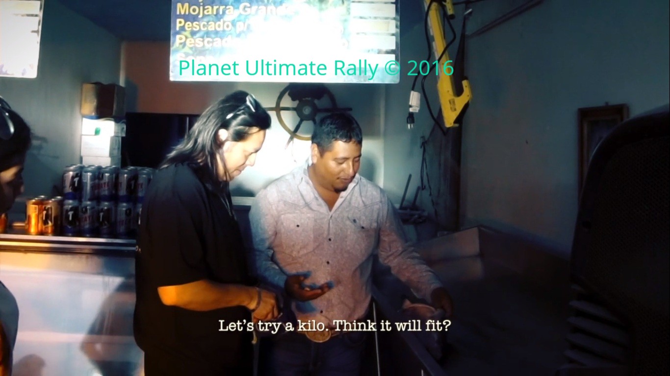 Фото - : 1366x768 / 150 Кб