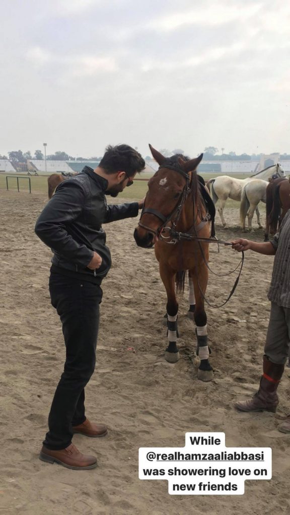 Фото - Легенда о Мауле: 576x1024 / 89 Кб
