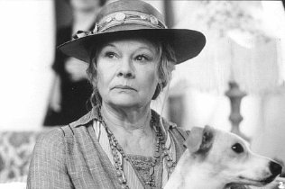 Фото - Чай с Муссолини: 353x450 / 20 Кб