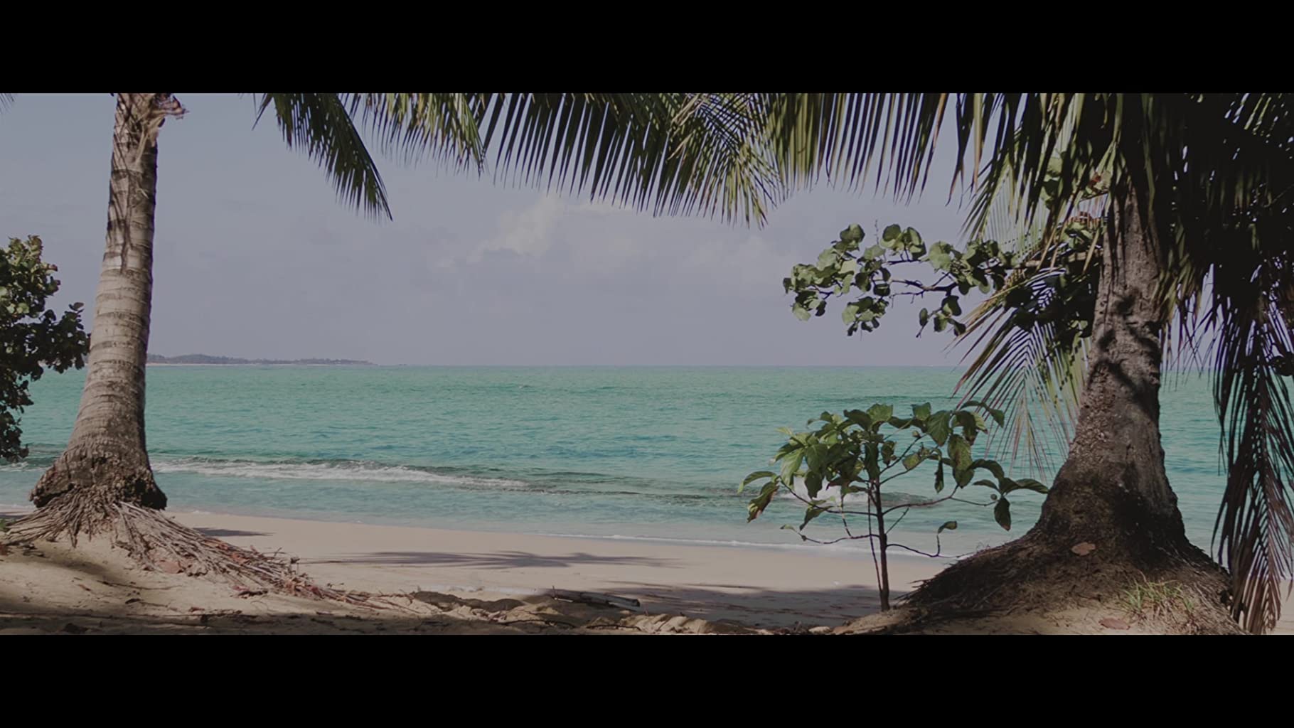 Фото - Репродукция: 1820x1024 / 160 Кб