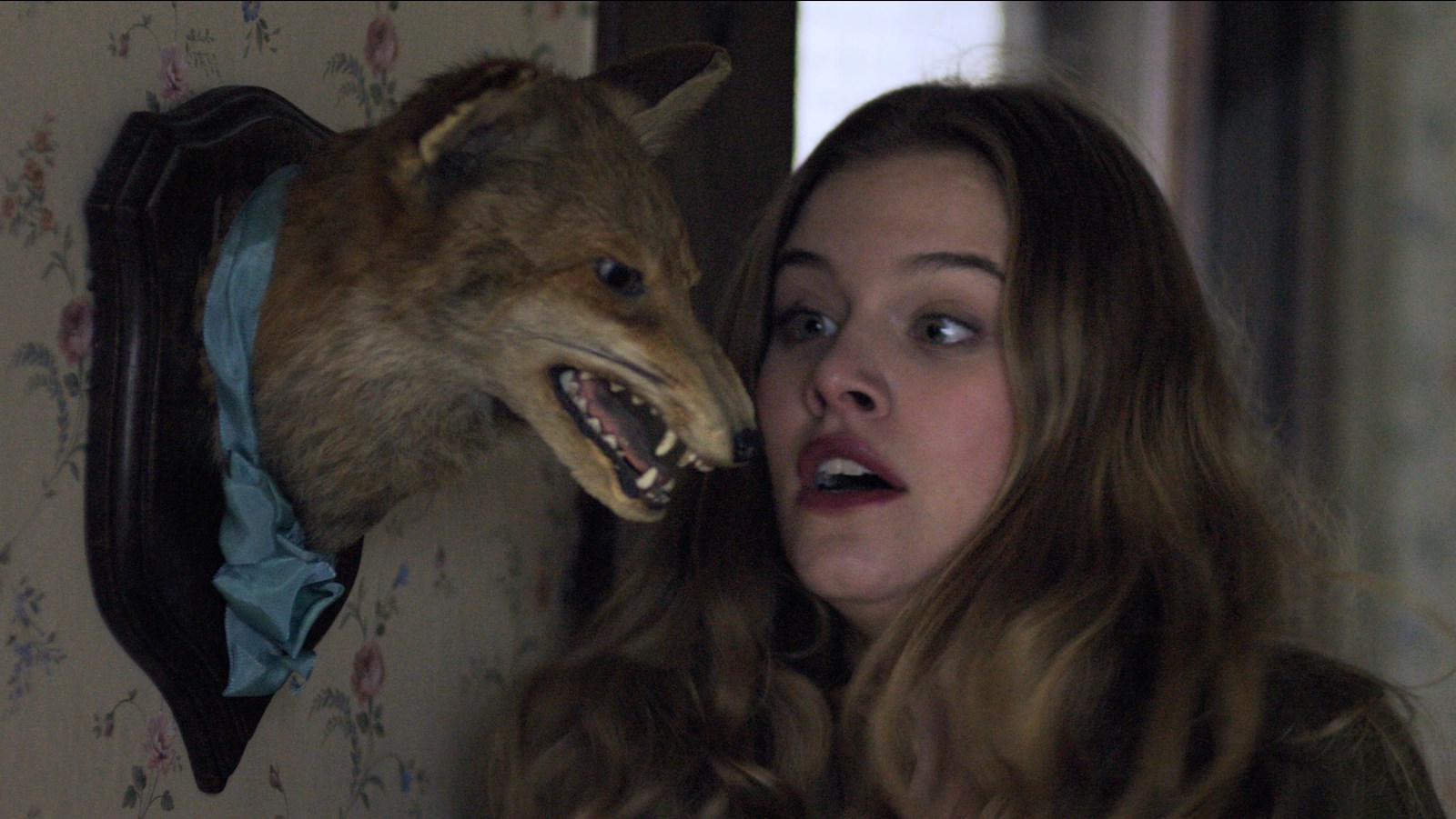 Фото - : 1600x901 / 246 Кб