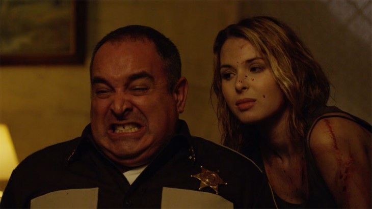 Фото - : 730x411 / 53 Кб