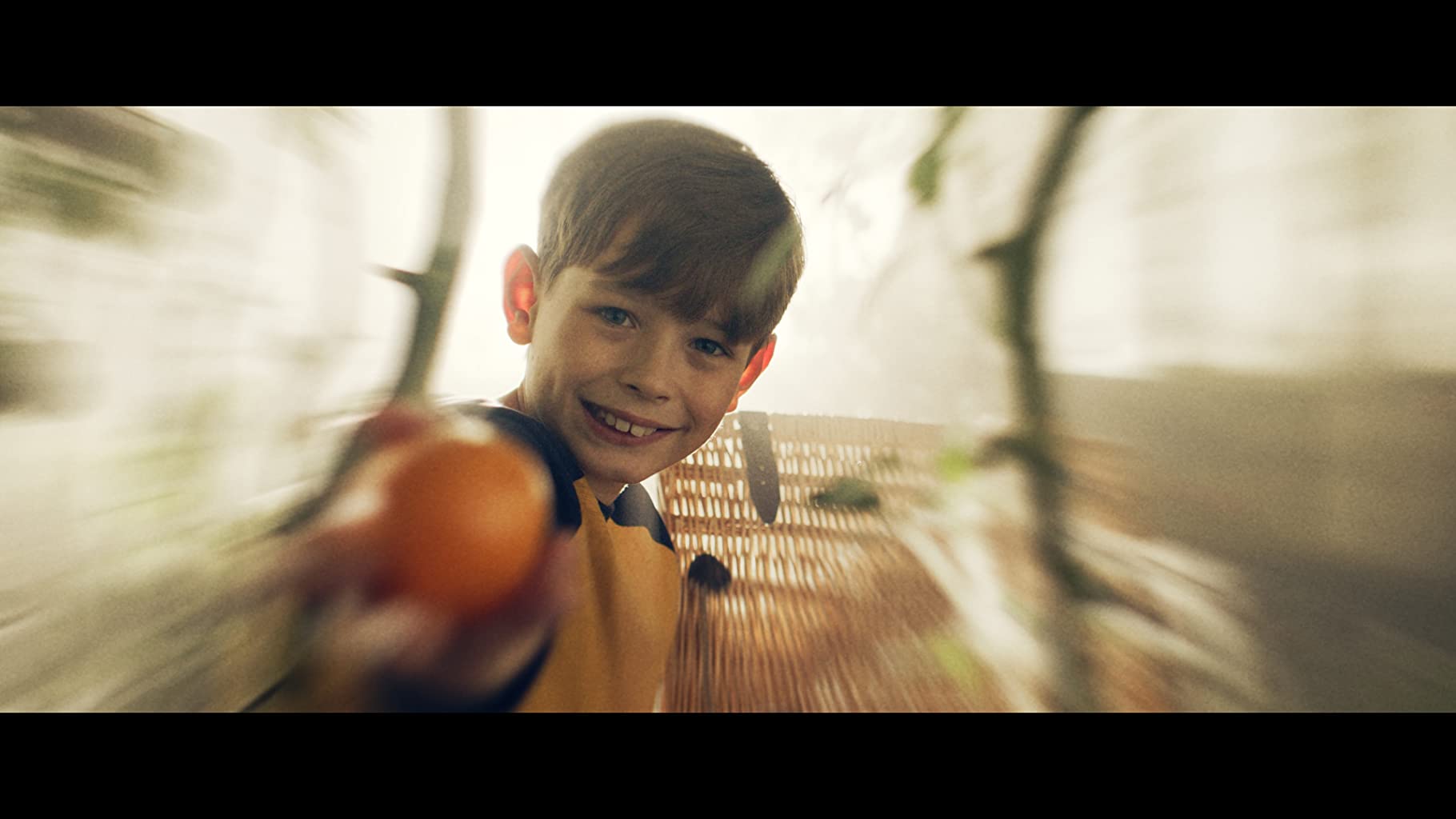 Фото - Винни-Пух: Кровь и мед: 1820x1024 / 81 Кб