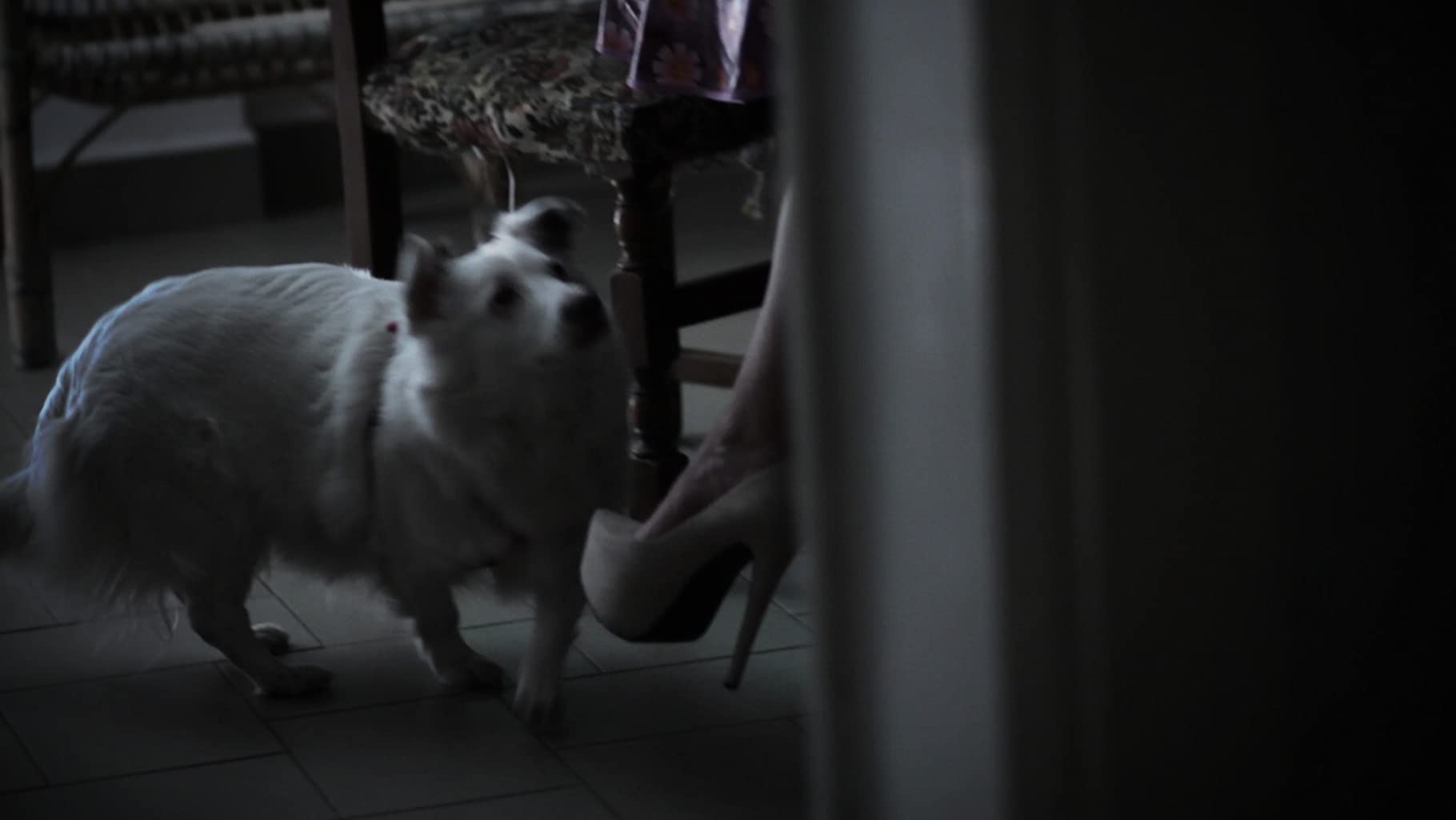 Фото - : 1820x1024 / 45 Кб