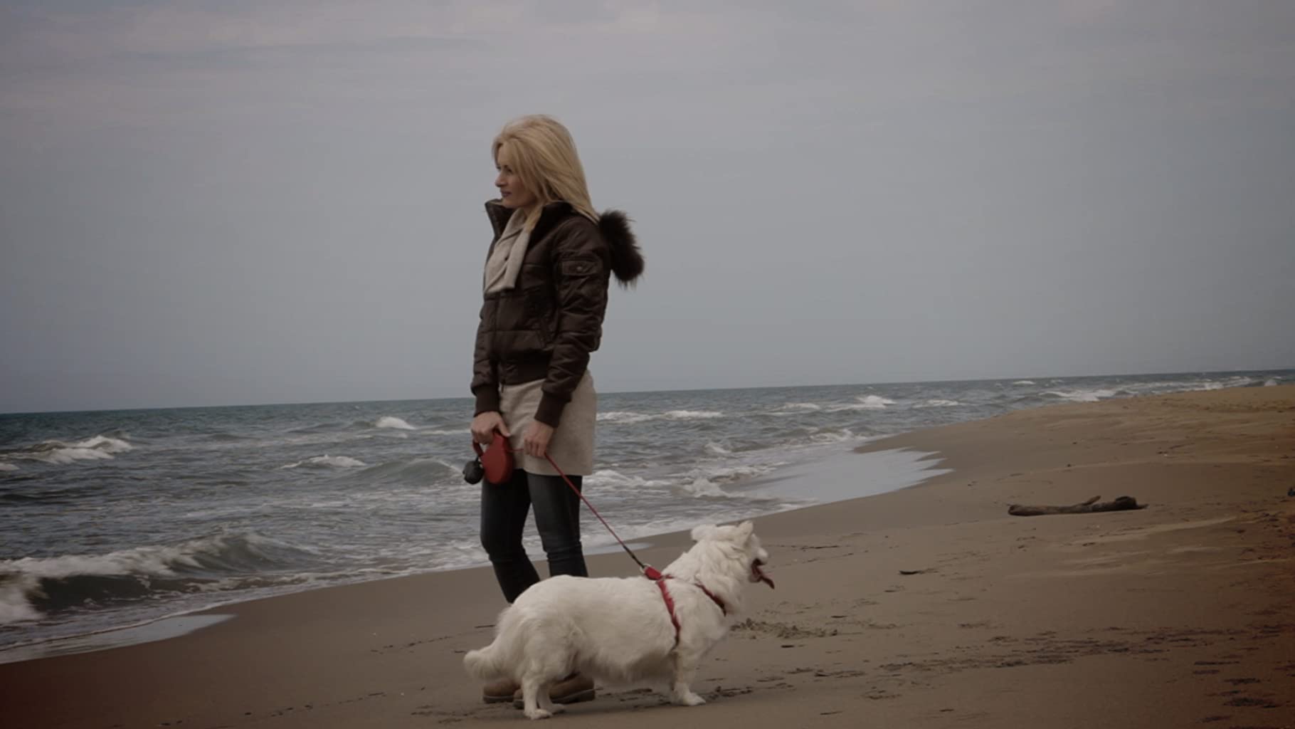 Фото - : 1820x1024 / 67 Кб