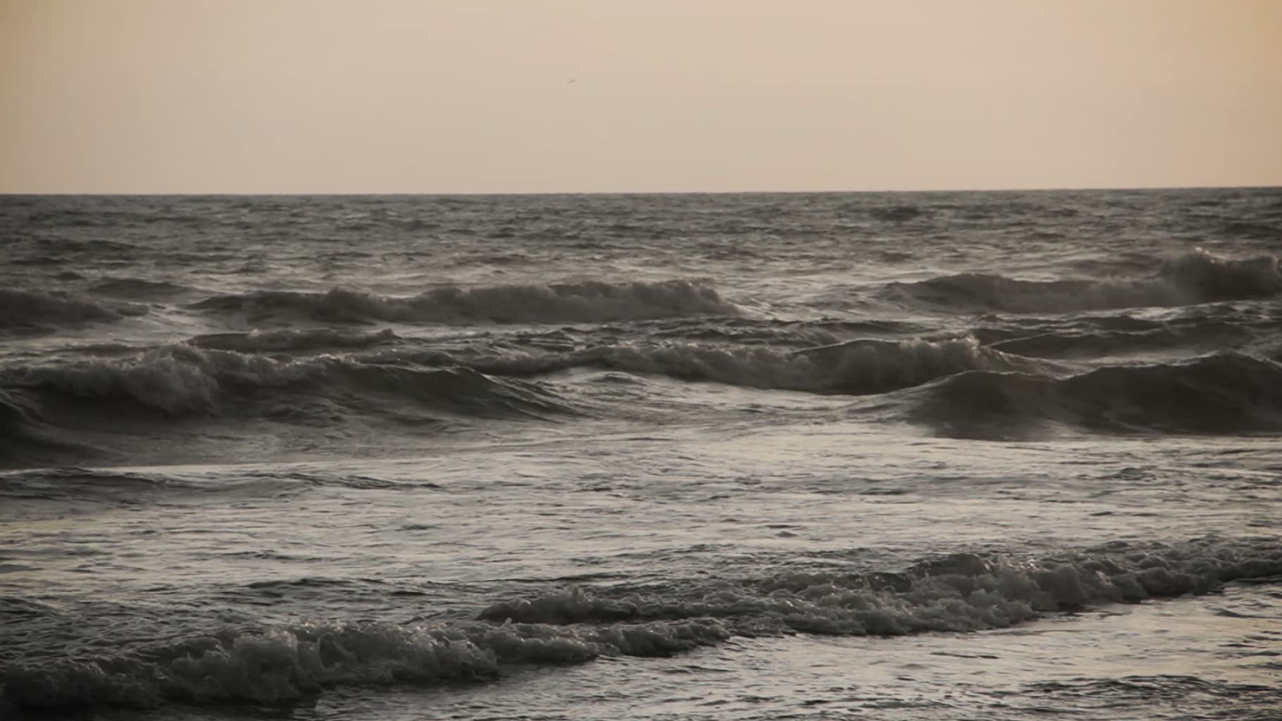 Фото - : 1820x1024 / 133 Кб