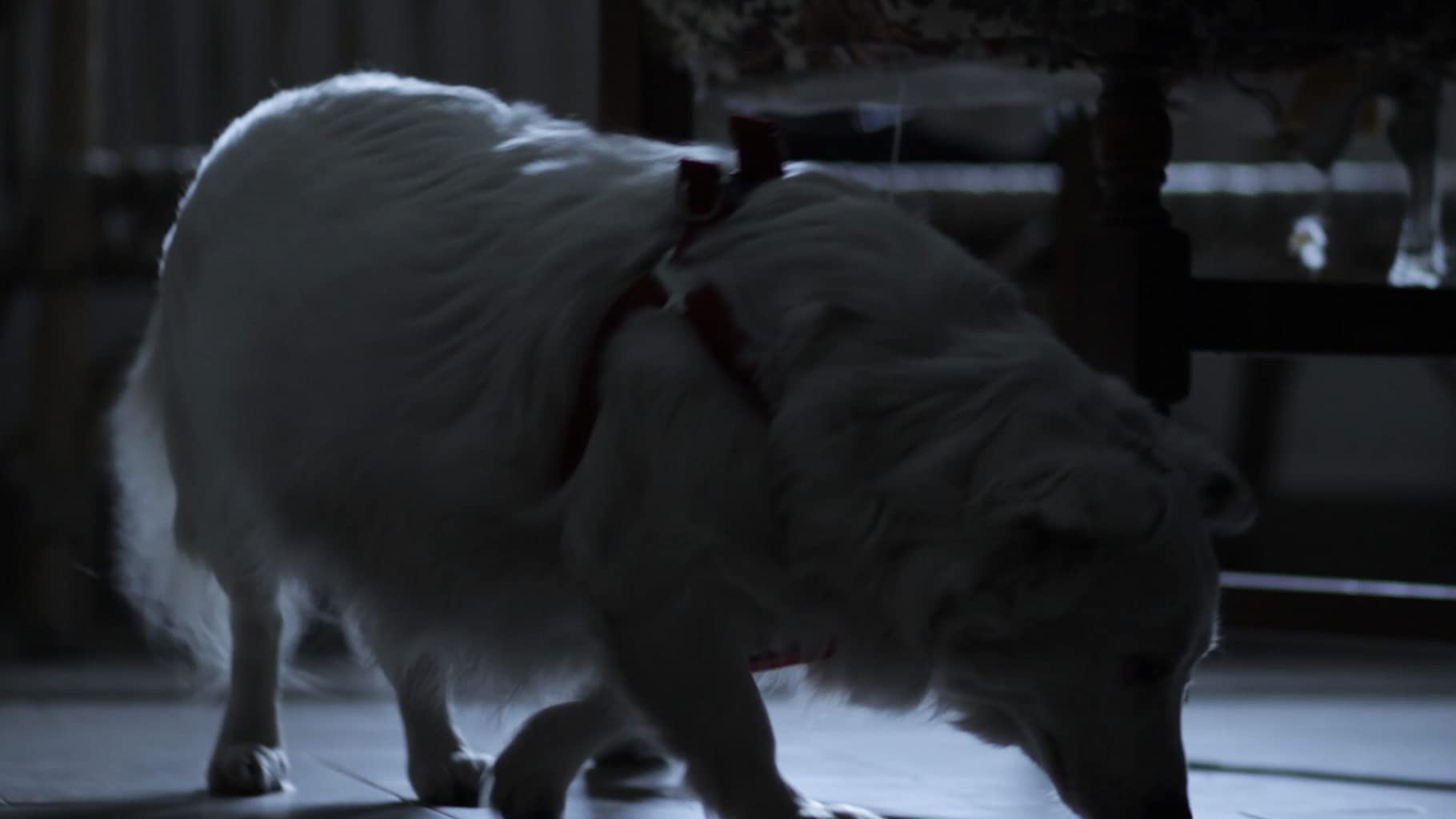 Фото - : 1820x1024 / 49 Кб