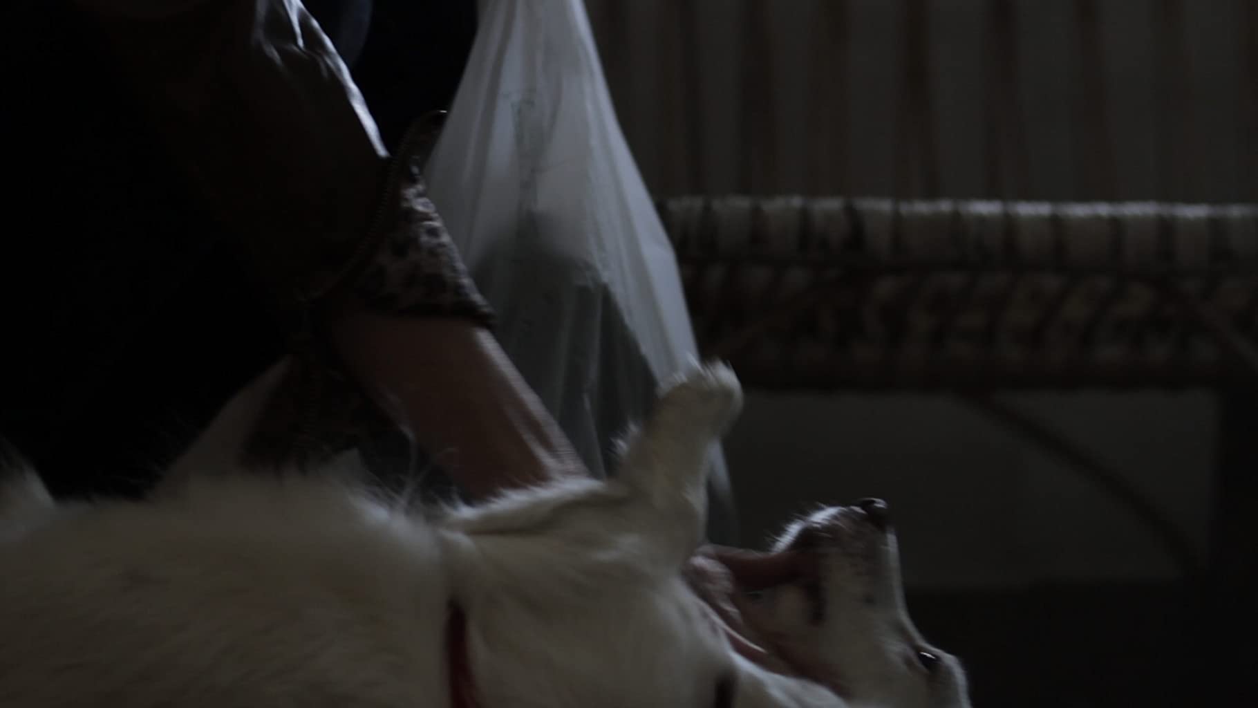 Фото - : 1820x1024 / 39 Кб