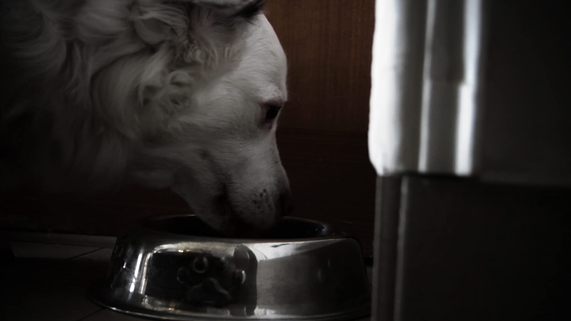 Фото - : 1820x1024 / 51 Кб