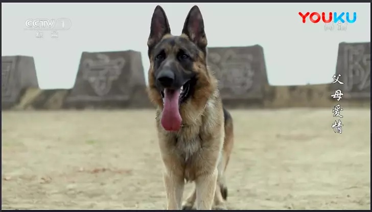 Фото - : 728x415 / 60 Кб