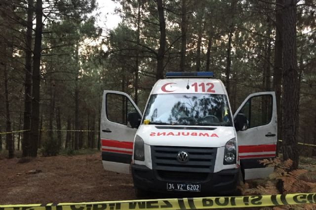 Фото - : 640x427 / 62 Кб