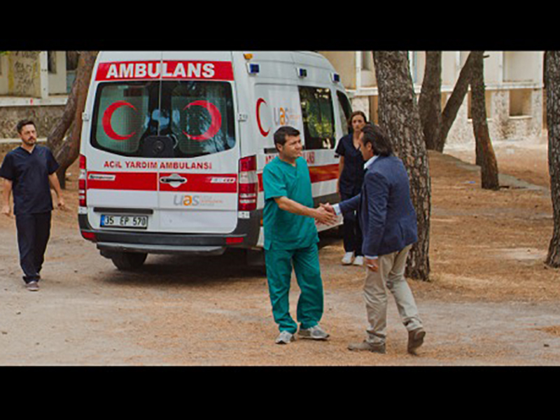 Фото - : 800x600 / 268 Кб