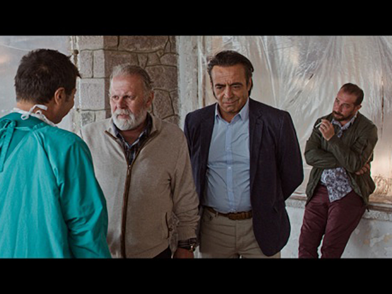 Фото - : 800x600 / 220 Кб