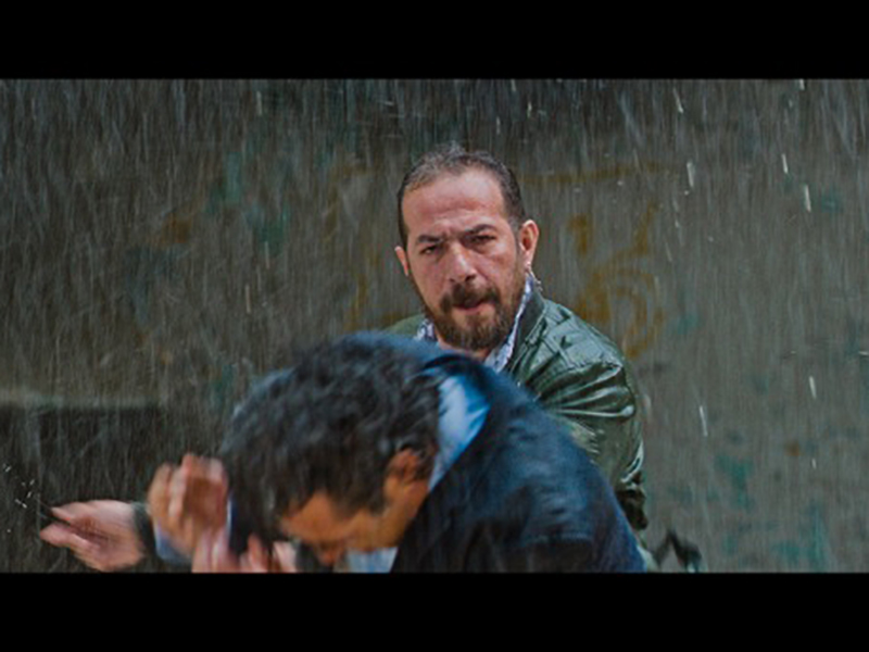 Фото - : 800x600 / 192 Кб