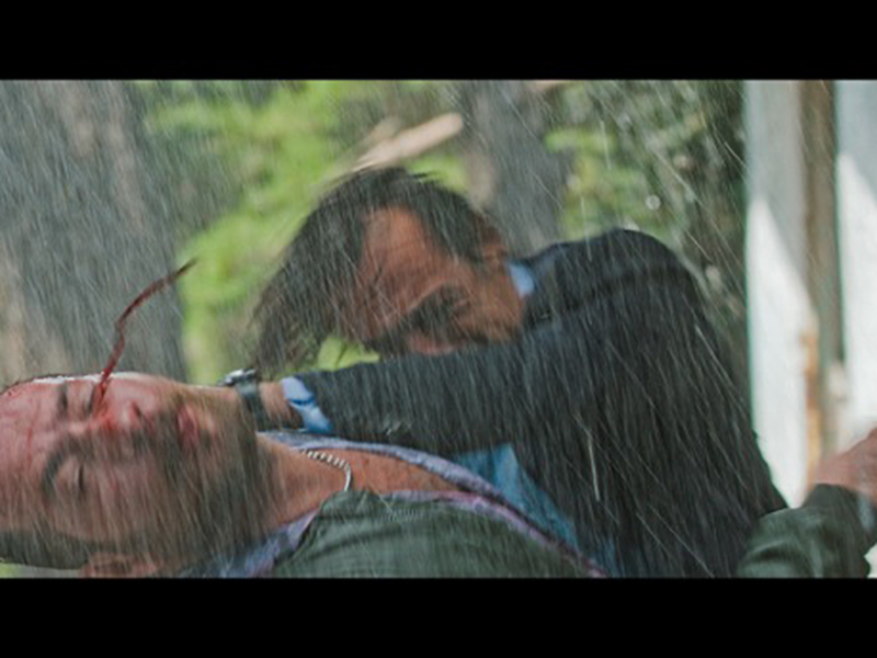 Фото - : 800x600 / 196 Кб