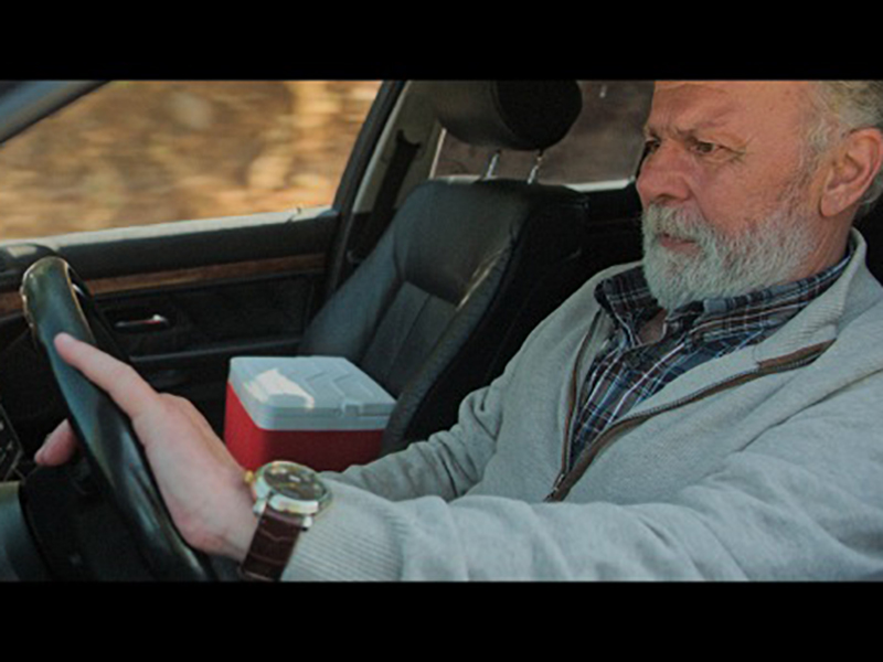 Фото - : 800x600 / 198 Кб