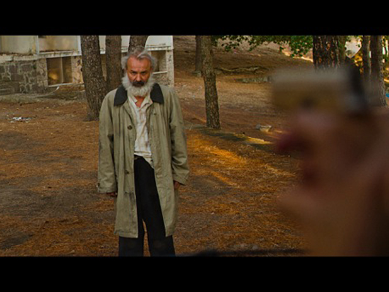 Фото - : 800x600 / 224 Кб