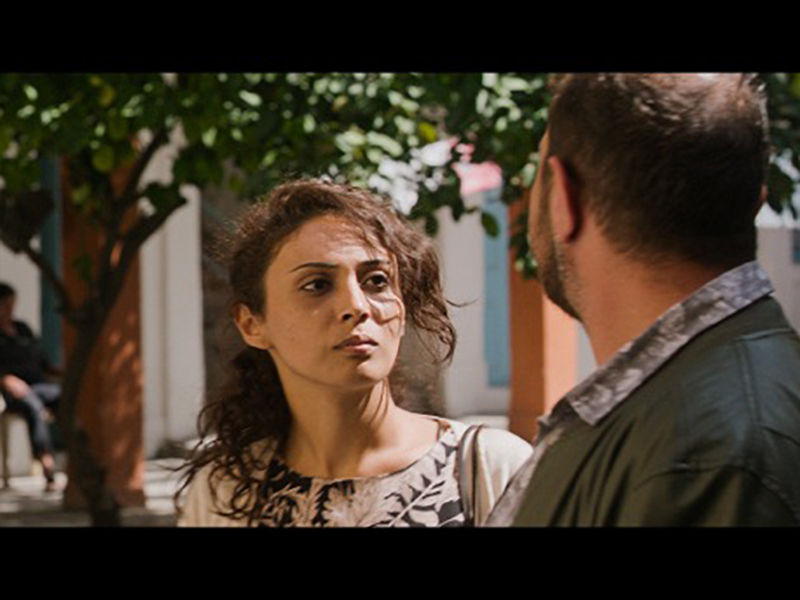 Фото - : 800x600 / 205 Кб