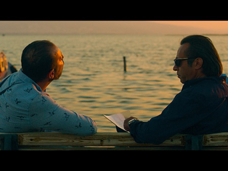 Фото - : 800x600 / 196 Кб