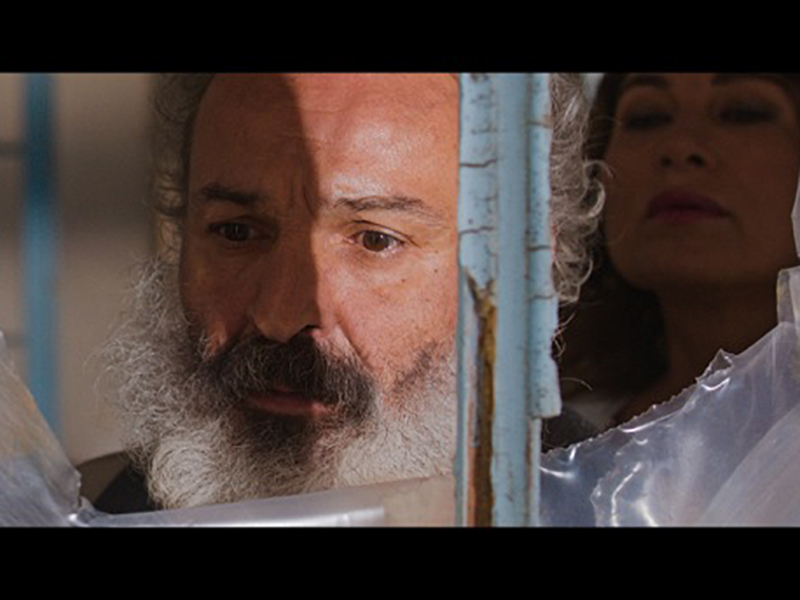 Фото - : 800x600 / 181 Кб