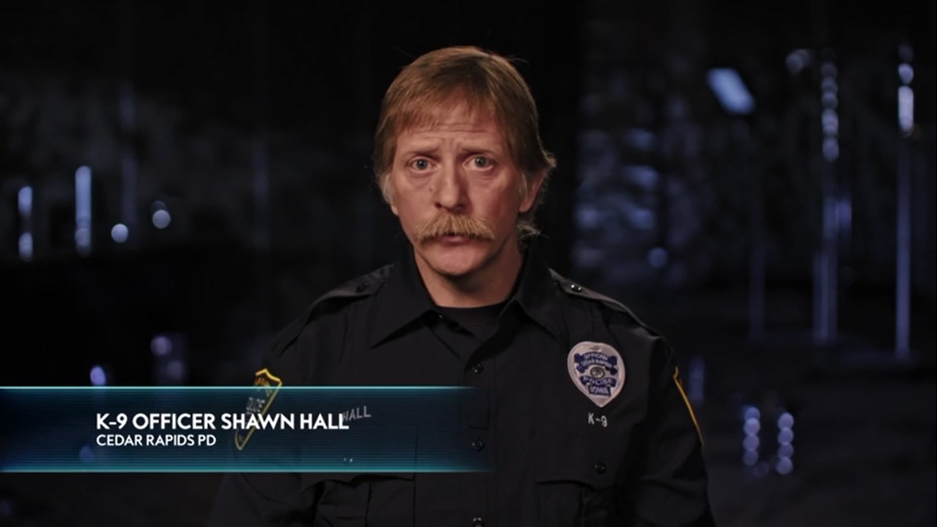 Фото - : 1366x768 / 114 Кб