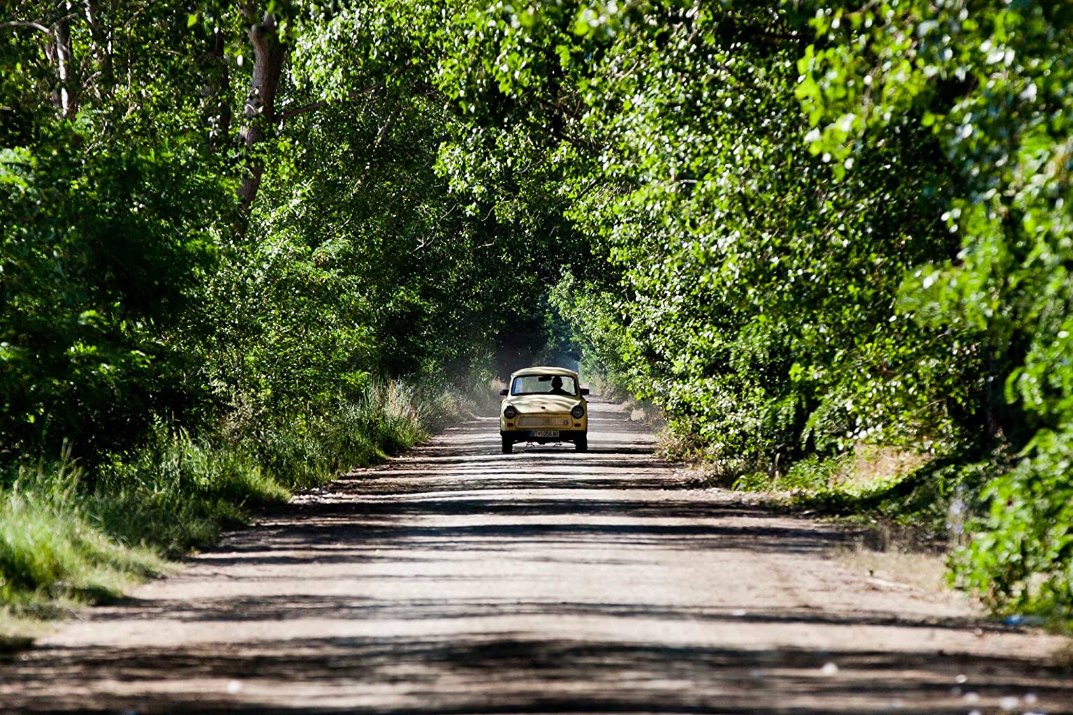 Фото - : 1536x1024 / 384 Кб